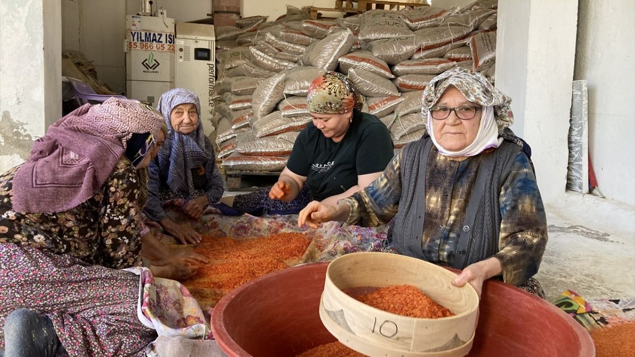 Dostluk ve Doğal Beslenme: 90 Yaşındaki Üç Arkadaşın Sırları