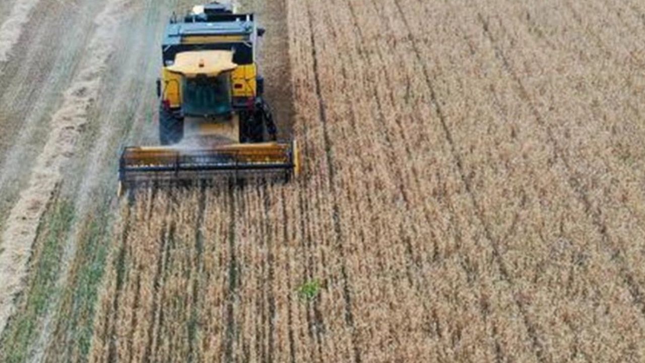 Konyalı çiftçilerin 100 dekar alandaki hasadına makine desteği!