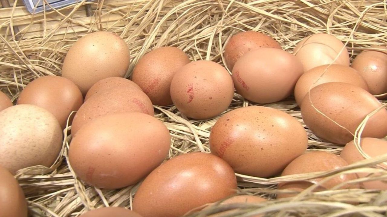 Yumurta fiyatlarına okkalı zam: 30'lu fiyatı cep yakıyor