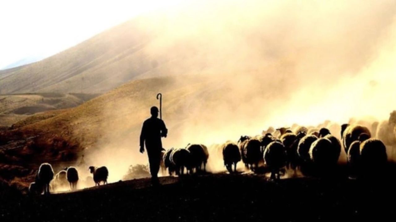 Konya'da kan donduran olay! Çobana cinsel istismarda bulunan şahıslara 14'er yıl hapis