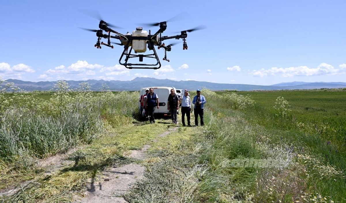 Konya'da 270 dekarlık alan dronla ilaçlanıyor!