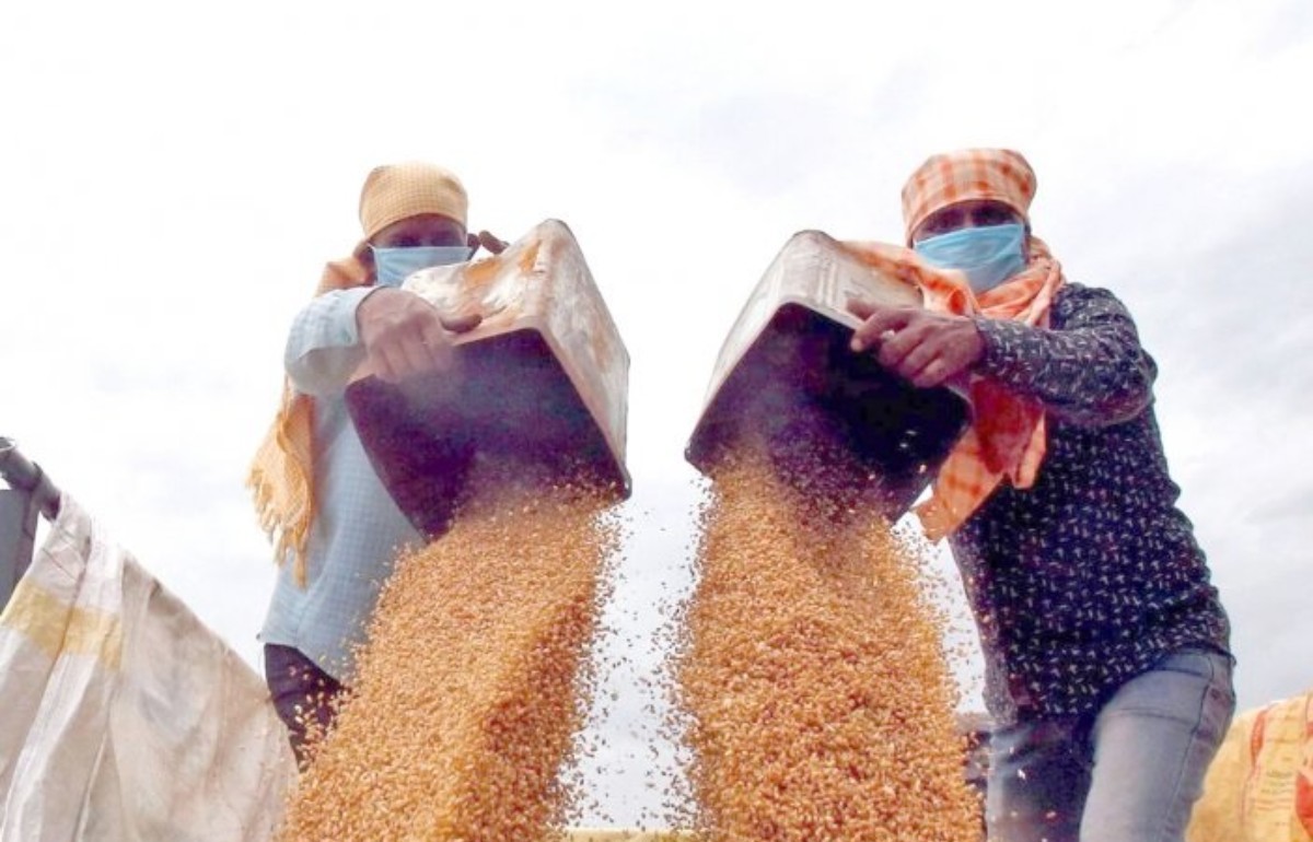 Konyalı çiftçilere güzel haber! Buğday fiyatlarında artış bekleniyor