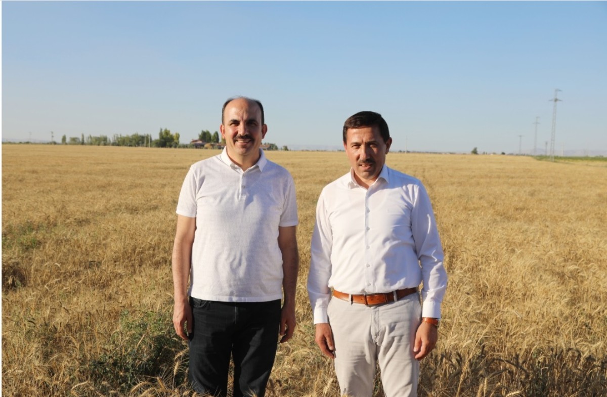Konya'da 7 milyon metrekare alandaki kuraklığa dayanıklı ürünlerin hasadı yapıldı
