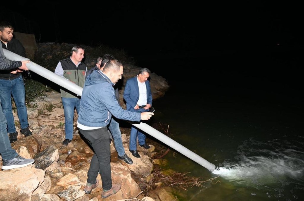 1 milyondan fazla sazan balığı Seydişehir'deki Kuğulu Tabiat Parkı’na bırakıldı
