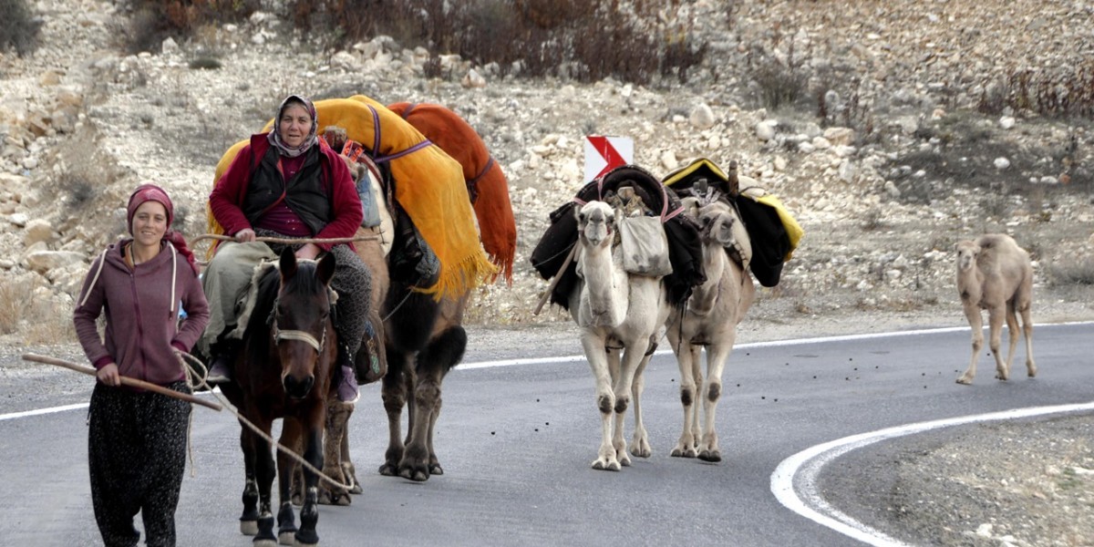 Yazı Konya’da geçiren Sarıkeçili Yörükleri kış yolculuğuna çıktılar