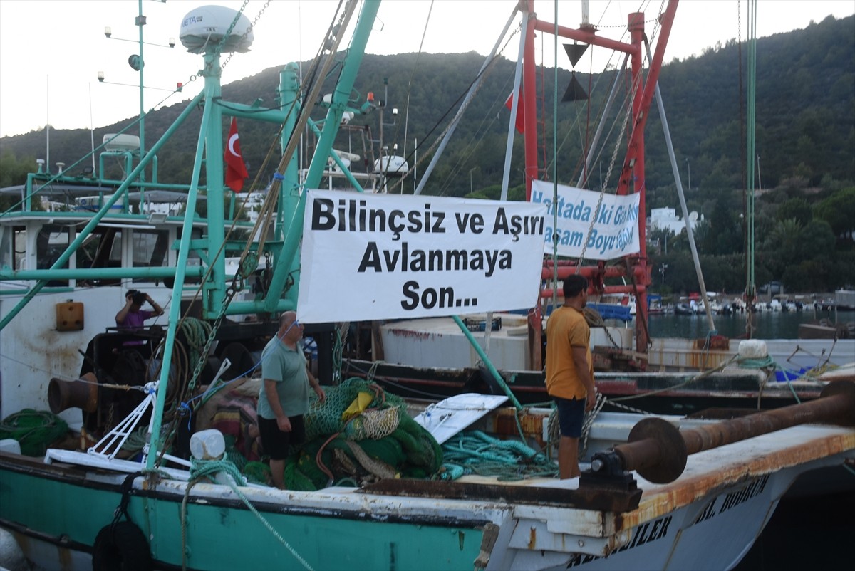 Muğla'nın Bodrum ilçesinde, denizlerde avlanma yasağının 1 Eylül'de sona erecek olması nedeniyle...