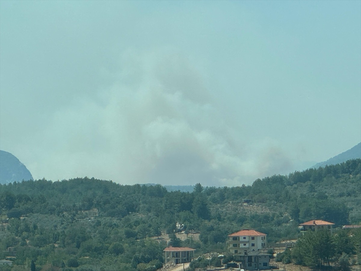 Muğla'nın Menteşe ilçesinde ormanlık alanda çıkan yangına havadan ve karadan müdahale...