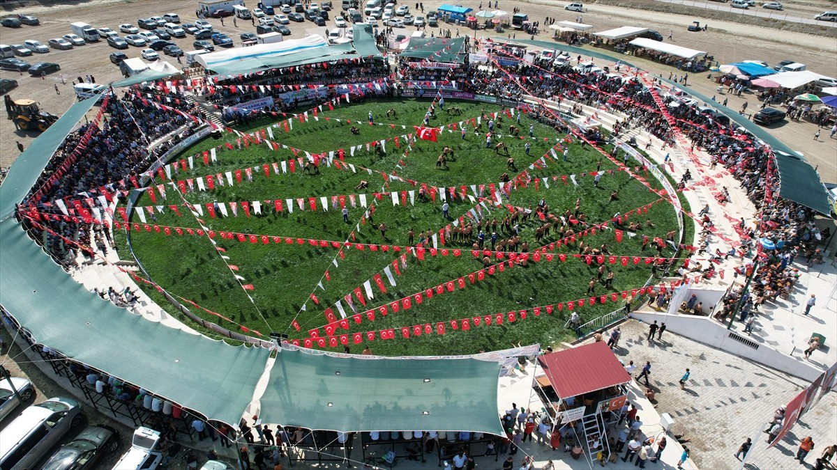 Çorum'un Osmancık ilçesinde Pırlanta Pirinç Kültür ve Sanat Festivali kapsamında düzenlenen Yağlı...