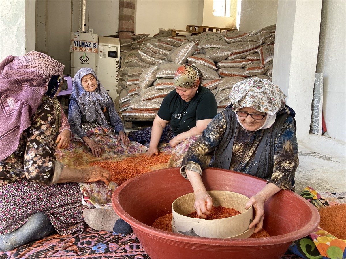 Manisa'nın Sarıgöl ilçesine bağlı Dadağlı Mahallesi'nde yaşayan Pakize Tosun, Ümmü Kılıç ve Ümmü...